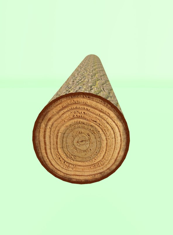 原木木头