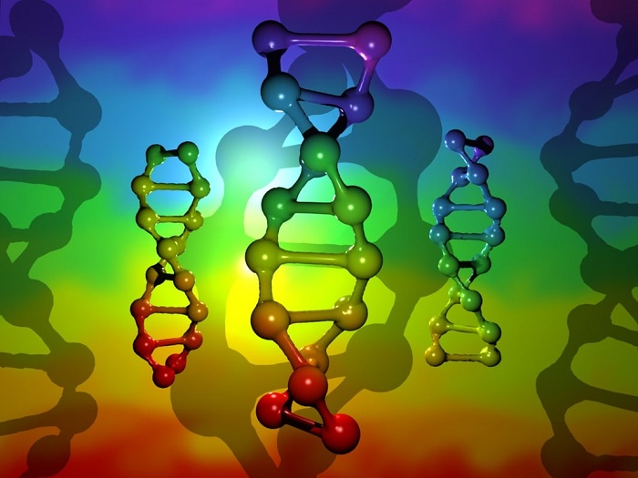 彩色DNA结构图