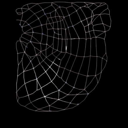 方块蜘蛛网