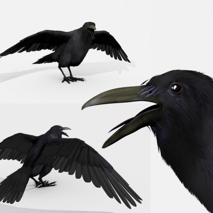 黑鸟乌鸦