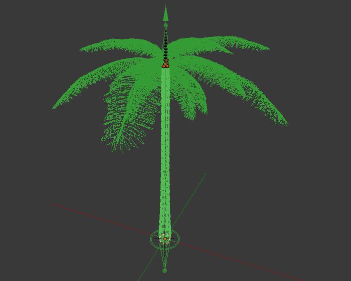 一棵棕榈树