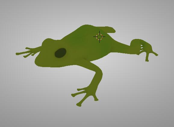 毒箭蛙