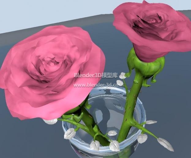 玫瑰花瓶