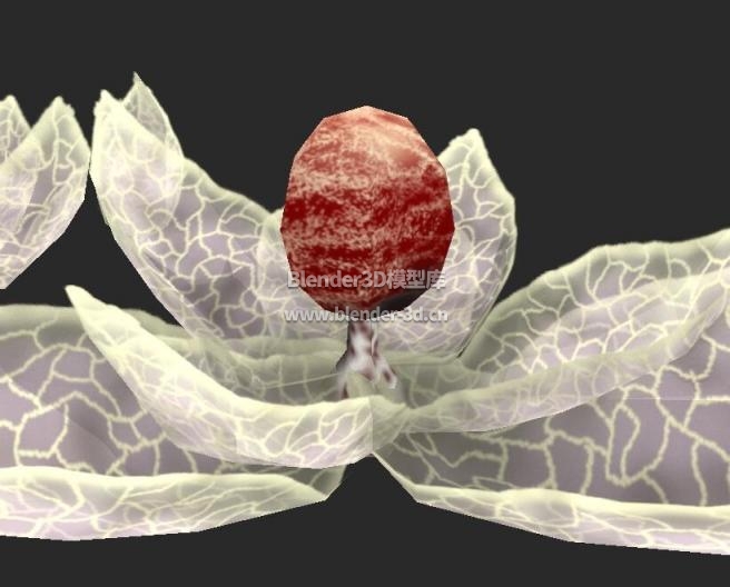 白衣红蘑菇