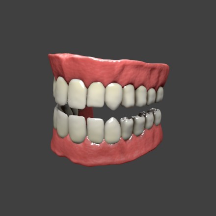 牙齿和牙龈