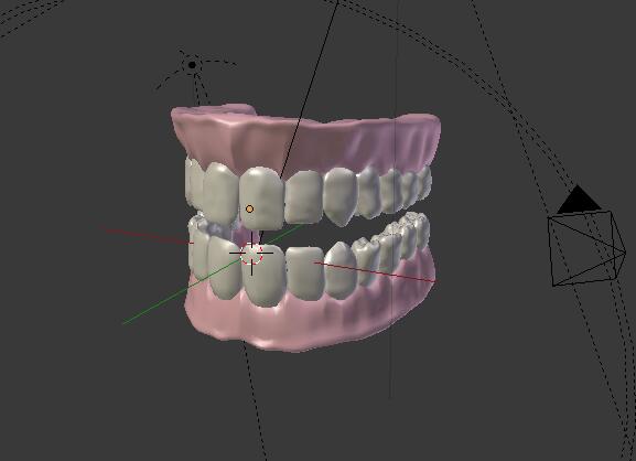 牙齿和牙龈