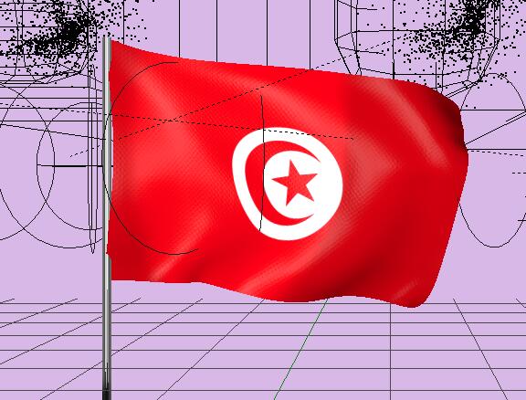 突尼斯国旗飘扬