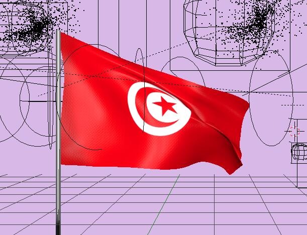 突尼斯国旗飘扬