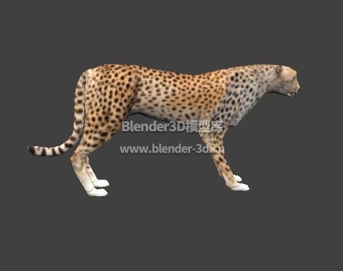 rig豹子猎豹lowpoly