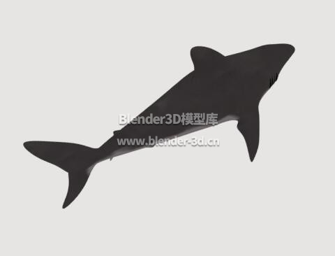 大青鲨鱼