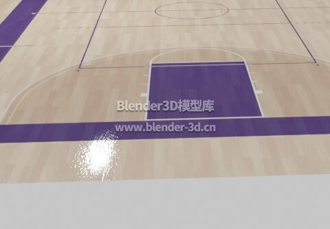 篮球体育场地板