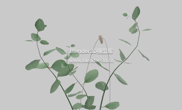 壁挂桉树苔藓球盆景