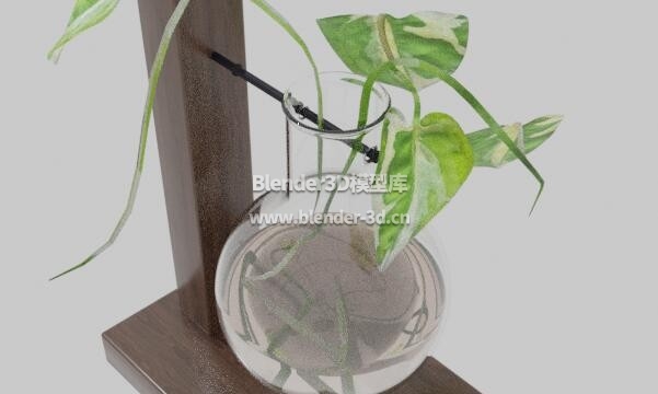 玻璃球水培盆栽盆景植物