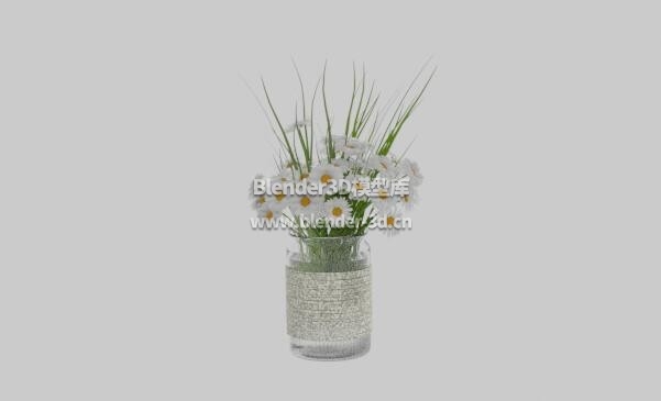 玻璃花瓶插花盆景盆栽绿植